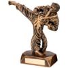 Picture of Brz|gold Resin Karate Figure With Plate - 6.5in