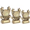 Picture of Brz|Gold Shooting Star Series With Netball Insert And Plate - 6in