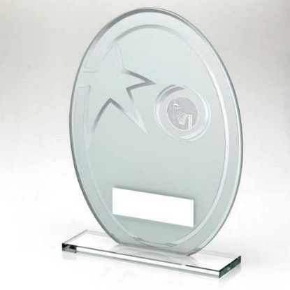 Picture of White~silver Printed Glass Oval With Netball Insert And Plate