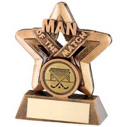 Picture of Brz~gold Man Of The Match Mini Star With Hockey Insert And Plate