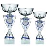 Picture of Silver|blue Shield Trophy Cup With Plate (2in Centre) - 11.75in