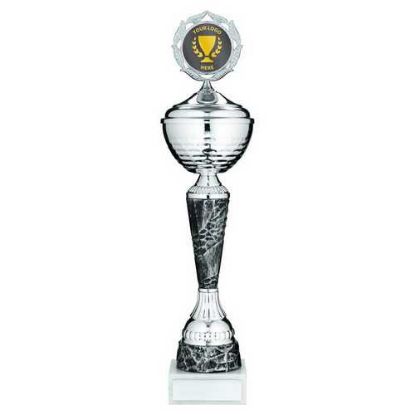 Picture of Silv|pewter Trophy Cup With Lid With Plate (2in Centre) - 14.25in