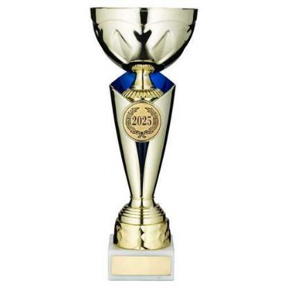 Picture of Gold~blue Trophy Cup With Plate (2in Centre)