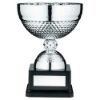 Picture of Silver Dimple Bowl Trophy With Plate - 8in