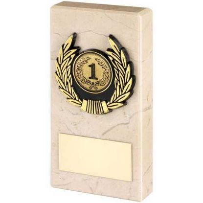 Picture of Cream Marble And Gold Trim Assembled Trophy (1in Centre)