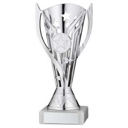 Picture of Silver Plastic Flash Cup Assembled On Marble   (1in Cen)