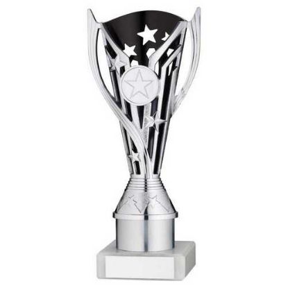 Picture of Silver|black Plastic Flash Cup Assembled On Marble With Tube (1in Cen) - 8in