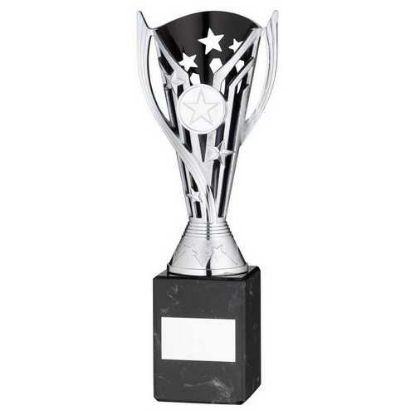 Picture of Silver~blk Plastic Flash Cup On Blk Marble Assembled Trophy (1" Cen)
