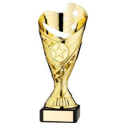 Picture of Gold Plastic Sabre Cup On Black Marble Assembled Trophy (1" Cen) - 6.75in