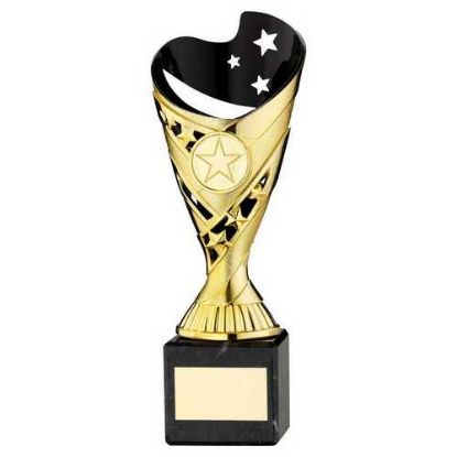 Picture of Gold~blk Plastic Sabre Cup On Blk Marble Assembled Trophy (1" Cen)