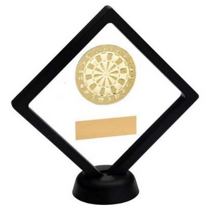 Picture of Black~clear Plastic Box With Darts Insert Trophy Gold
