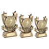 Picture of Brz|Gold Shooting Star Series With Rugby Insert With Plate - 6.75in