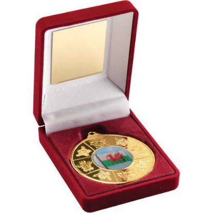 Picture of Red Velvet Box And 50mm Gold Medal Wales Trophy (1in Centre)