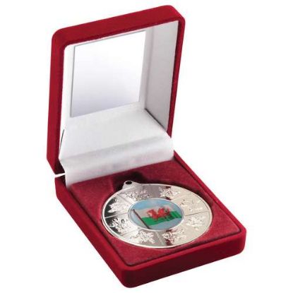 Picture of Red Velvet Box And 50mm Silver Medal Wales Trophy (1in Centre)