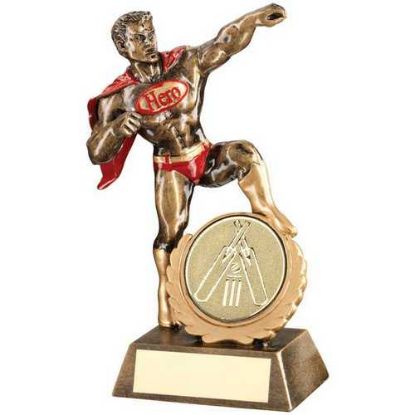 Picture of Brz~gold~red Resin Generic Hero Award With Cricket Insert And Plate