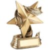 Picture of Brz|gold Star And Ribbon Award With Plate - 5.5in
