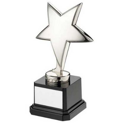 Picture of Silver Metal Star On Black Plastic Base Assembled Trophy
