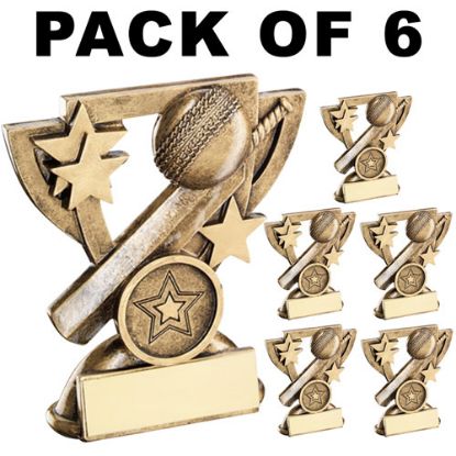 Picture of Pack Of 6 Cricket Mini Cup Trophy (1in Centre)