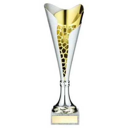 Picture of Silv~gold Plastic Stippled Trophy Cup