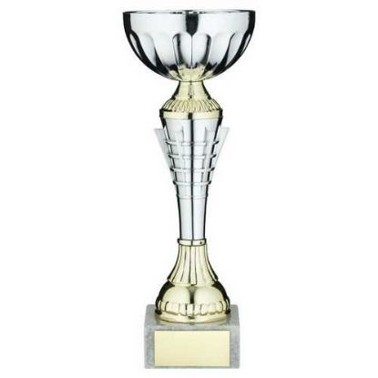 Picture of Silver~gold Spiro Trophy Cup