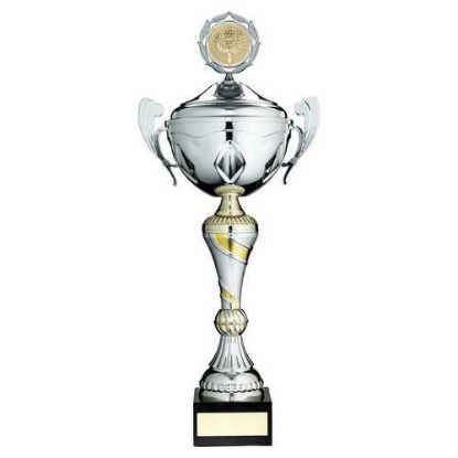 Picture of Silv~gold Trophy Cup With Handles And Lid (2in Centre)