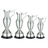 Picture of Nickel Plated Claret Jug On Round Base With Plinth - 9in