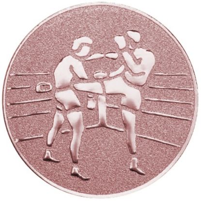 Picture of Metal Kick Boxing Centre 50mm Bronze