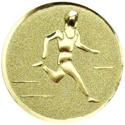 Picture of Metal Male Track Centre 50mm Gold