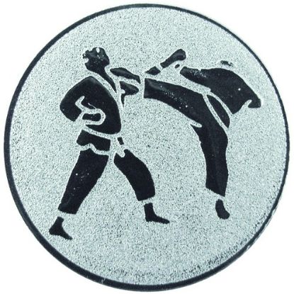 Picture of Metal Karate Centre 50mm Silver