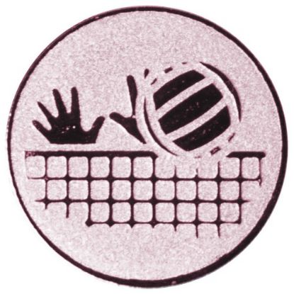 Picture of Metal Volleyball Centre 50mm Bronze