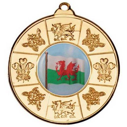 Picture of Wales Medal (1in Centre) Gold