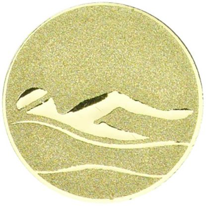 Picture of Metal Swimming Centre 25mm Gold