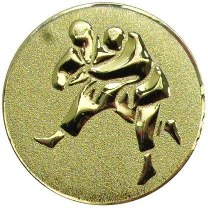 Picture of Metal Judo Centre 25mm Gold