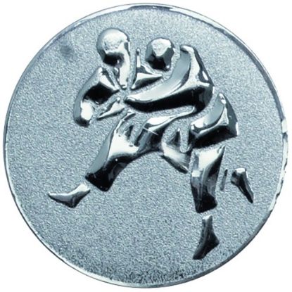 Picture of Metal Judo Centre 25mm Silver