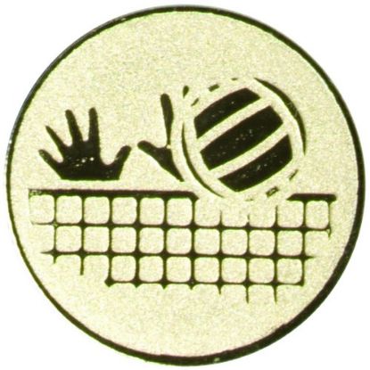 Picture of Metal Volleyball Centre 25mm Gold