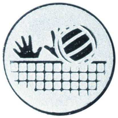 Picture of Metal Volleyball Centre 25mm Silver