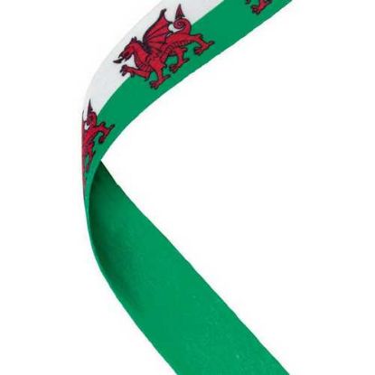 Picture of Medal Ribbon Welsh Flag