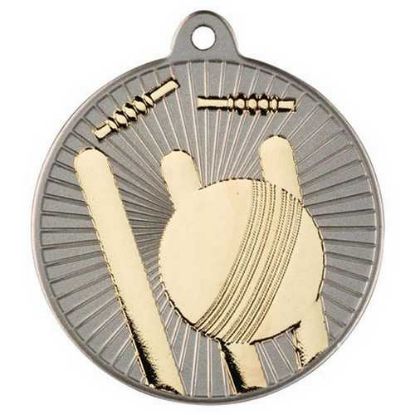 Picture of Cricket Two Colour Medal Matt Silver~gold
