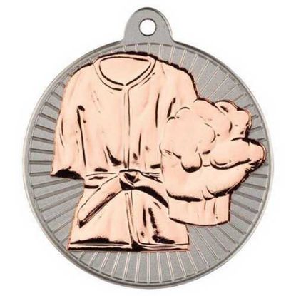 Picture of Martial Arts Two Colour Medal Matt Silver~bronze