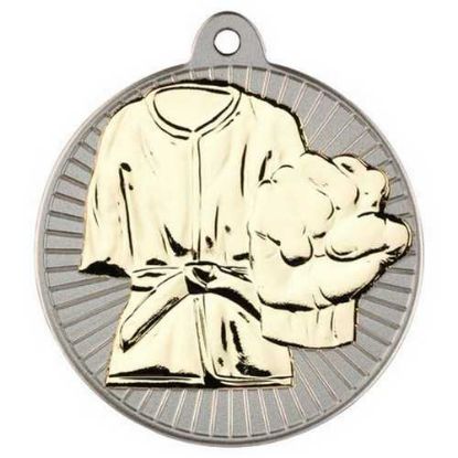 Picture of Martial Arts Two Colour Medal Matt Silver~gold