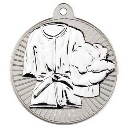 Picture of Martial Arts Two Colour Medal Matt Silver~silver
