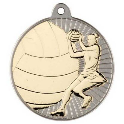 Picture of Netball Two Colour Medal Matt Silver~gold