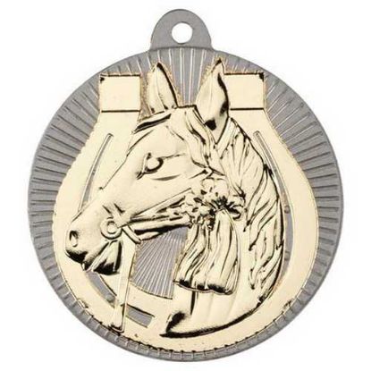 Picture of Horse Two Colour Medal Matt Silver~gold