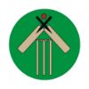 Picture of Acrylic Centre Cricket Bat|wicket - 1in
