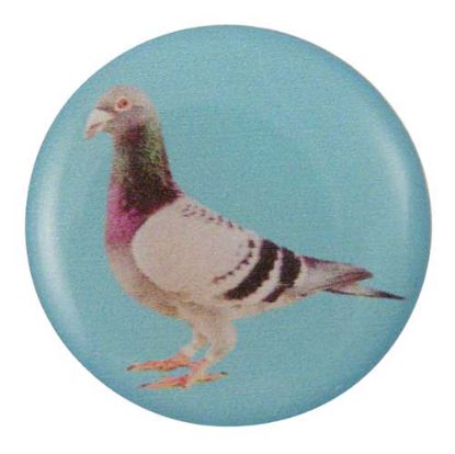 Picture of Acrylic Photo Action Centre Pigeon