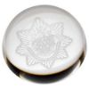Picture of Clear Glass Domed Paperweight - 3in