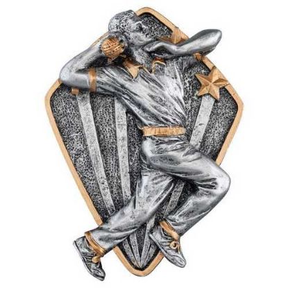 Picture of Pewter~gold Diamond Disc Cricket Bowler