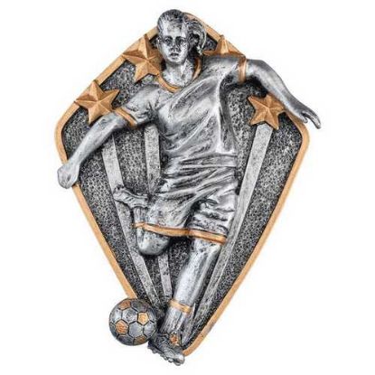 Picture of Pewter~gold Diamond Disc Football Female