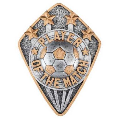 Picture of Pewter~gold Diamond Disc Football Player Of The Match