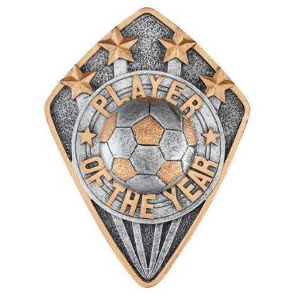 Picture of Pewter~gold Diamond Disc Football Player Of The Year